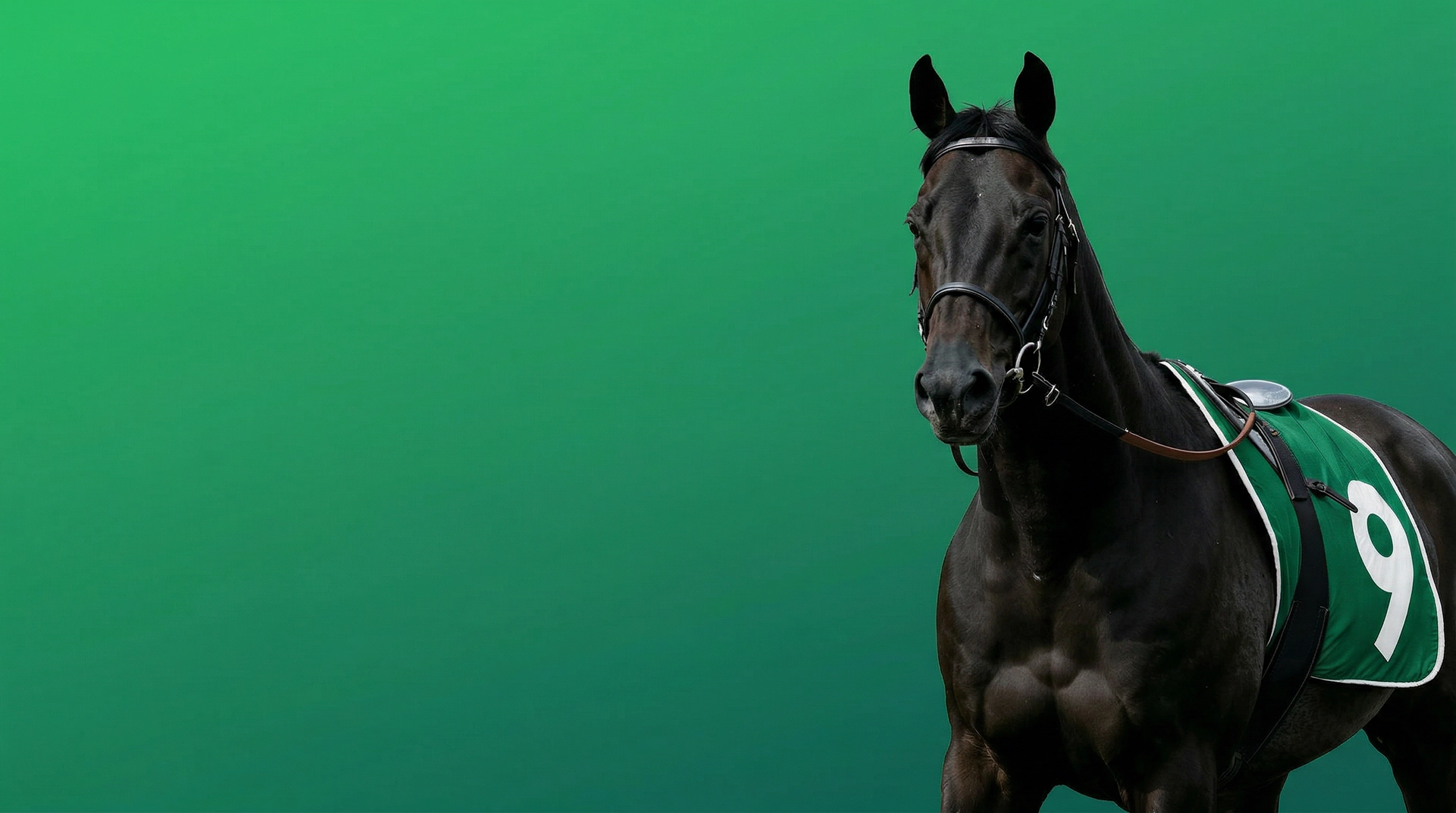 Green horse