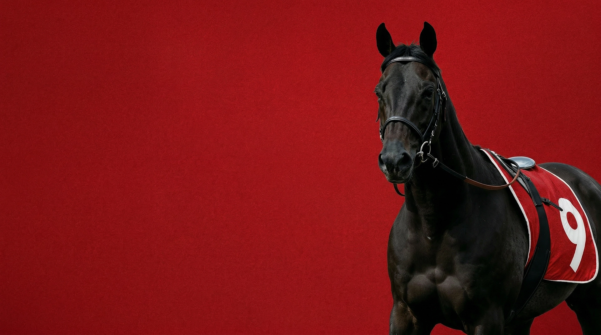 Red horse
